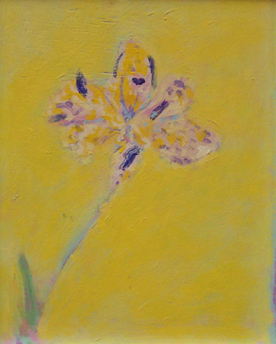 8.	Yellow Lily  “11 x 9”  2003